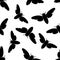 Seamless pattern with cicada . Cicadidae. Chremistica umbrosa. hand-drawn cicada . Vector