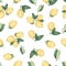 Seamless pattern with citrus fruit lemons on a branch with green leaves isolated on white background.