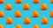 Seamless pattern of citrus fruit - orange, on blue background. Fresh repeating orange fruit on blue background