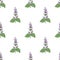 Seamless pattern with Clary sage