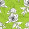 Seamless pattern with Clematis flower in white on the green background