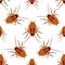 Seamless pattern cockroach on a white background