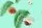 Seamless pattern with coconuts, milk splash and palm leaves on a green mint background