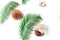 Seamless pattern with coconuts, milk splash and palm leaves isolated on a white background