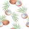 Seamless pattern with coconuts, painted in watercolor. Vector b