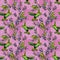 Seamless pattern. Colibri birds and flowers on pink background w