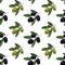 Seamless pattern with colored olives. Hand drawn olive branch. VECTOR illustration, green and black olives.