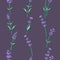 Seamless Pattern with Colored Parts of Lavender