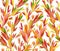 Seamless pattern colorful, autumnal  leaves,  isolated on white. Abstract leaves background.