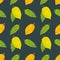 Seamless pattern colorful cocoa fruits and leaves on a dark green background