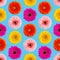 Seamless pattern of colorful gerbera on a Blue. Germini photo converted into a seamless pattern