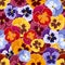 Seamless pattern with colorful pansy flowers.