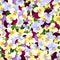 Seamless pattern with colorful pansy flowers. Vector illustration.