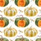 Seamless pattern with colorful Pumpkins and dragonflies watercolor