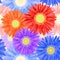 Seamless Pattern from Colorful Realistic Gerbera Flowers. Summer background design for your holiday poster, banner, headline text