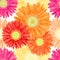 Seamless Pattern from Colorful Realistic Gerbera Flowers. Summer background design for your holiday poster, banner, headline text