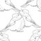 Seamless pattern coloring blue tit plump bird, looking up. vect