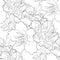 Seamless pattern coloring flower of the almond blossoms a nut v