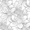 seamless pattern coloring flower of the Saxifrage urbrosa. vector illustration