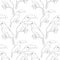 Seamless pattern coloring Toucan a exotic bird Vector