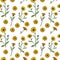 Seamless pattern with common marigold