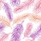 Seamless pattern with coral, pink and violet feathers on white backgroundj