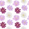 Seamless pattern cosmea flowers watercolor illustration