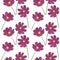 Seamless pattern cosmea flowers watercolor illustration