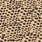 Seamless pattern cougar, puma, panther skin