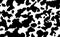 Seamless pattern. Cow skin or dalmatian fur or panda coat. Spots. Black and white.  Animal print, texture background.