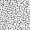 Seamless pattern.The cracks texture white and black.