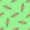 Seamless pattern with cricket or grig. Gryllus campestris. hand-drawn cricket. grig.