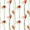 Seamless pattern with crocus, gerber and narcissus flowers