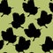 Seamless pattern Cuban a Tody Bird exotic. vector illustration