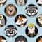 Seamless pattern with cute baby animals for kids. Bear, raccoon, rabbit, fox and other.
