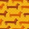 Seamless pattern with cute badger-dogs