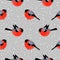 Seamless pattern with cute bullfinches in winter