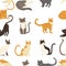 Seamless pattern of cute cartoon animal design white brown and orange domestic cat adorable animal vector illustration