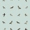 Seamless pattern with cute little birds