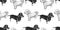 Seamless pattern with cute puppies of Bichon and Dachshund