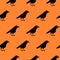 Seamless pattern of cute raven crow vector on orange background