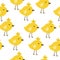 Seamless pattern of cute yellow chickens on a white background  Easter birds in a childish style for design