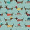 Seamless pattern with dachshunds in clothes and snow