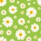 Seamless pattern with daisy flowers on green. Vect