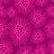 A seamless pattern of a dandelions flowers pink