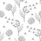 Seamless pattern with dandellions. Botany vector illustration