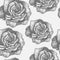 Seamless pattern with decorative magnolias flowers. Vector flora