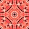 Seamless pattern. Decorative pattern in beautiful salmon and black colors. Vector illustration