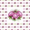 Seamless pattern with delicate peonies large and small and pink and spiral elements