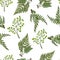 Seamless pattern with different fern plants